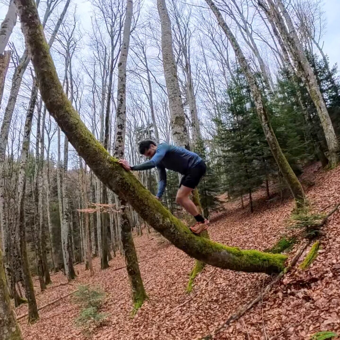 Découverte Entrainement physique naturel 02/05/26 - 13h30 - Olmet - Auvergne