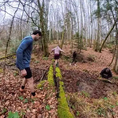 equilibre-tronc-arbre-foret-groupe-cohesion