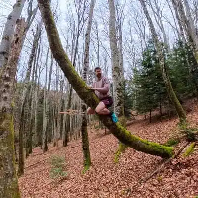 grimpe-arbre-joie-foret-sport-nature