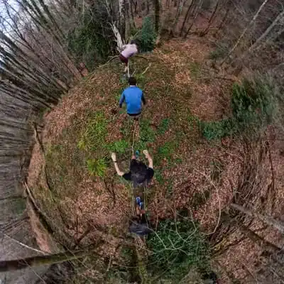 Equilibre-arbre-sport-nature-entrainement-foret